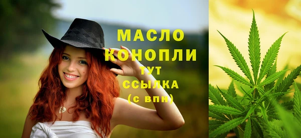 стаф Арсеньев