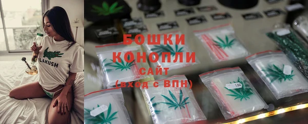 шишки Балабаново