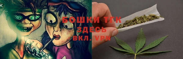 стаф Арсеньев