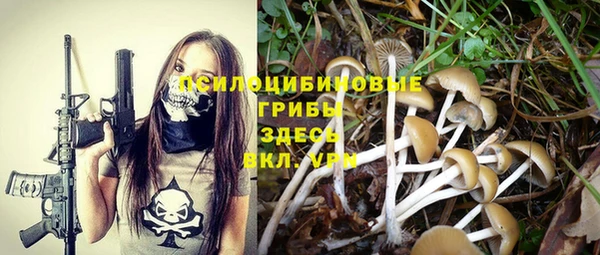 прущие грибы Струнино