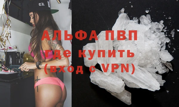 стаф Арсеньев