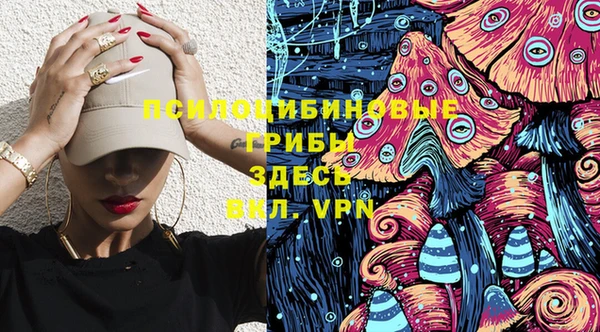 шишки Балабаново